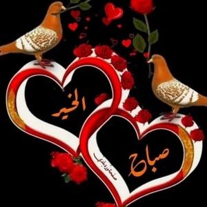 Meet your Posher, Ali